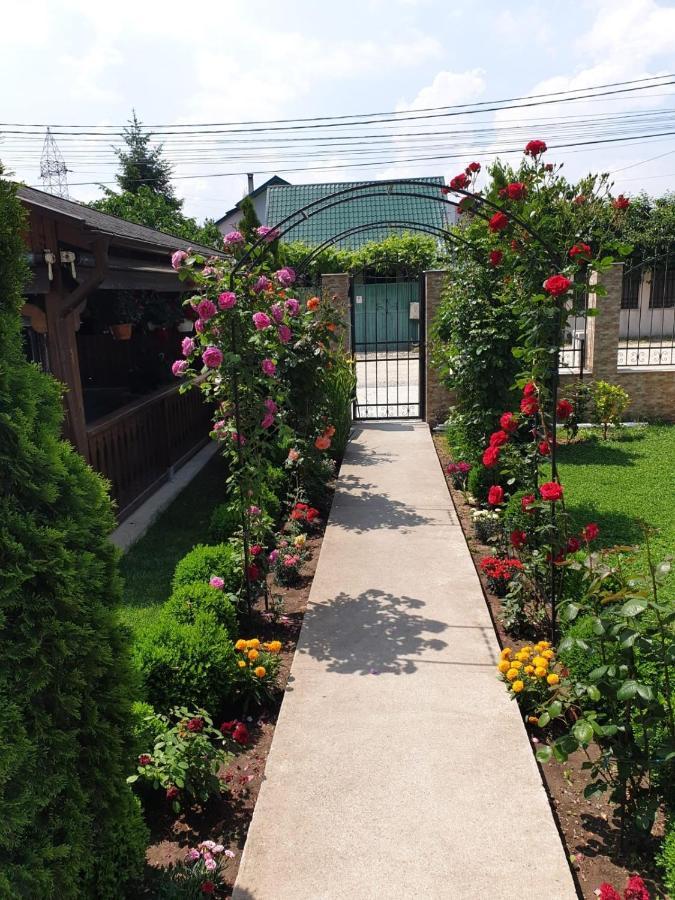 Vila Yna Năvodari Exterior foto